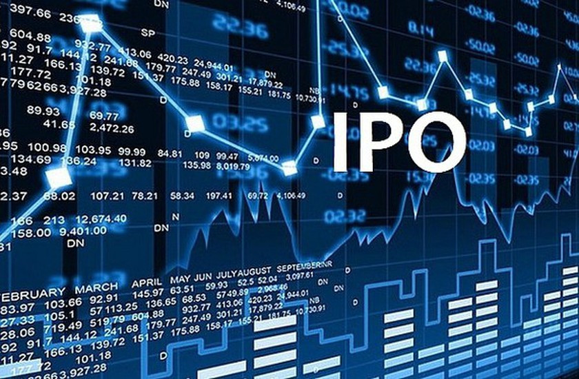 Slow equitization of State-Owned Enterprises ảnh 1