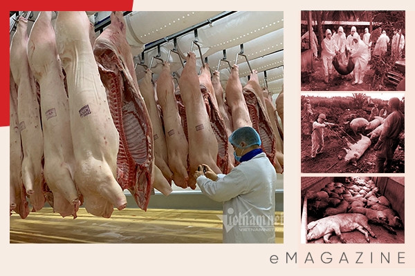 Đối mặt thảm họa lịch sử, Việt Nam tạo nên điều chưa từng có