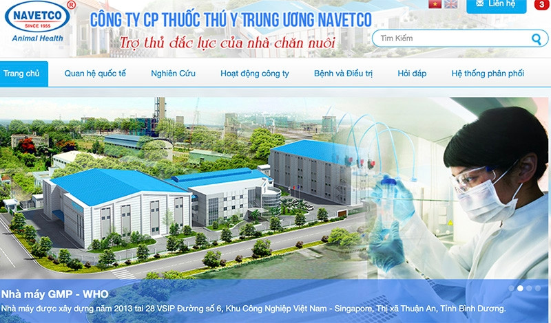 Một cổ phiếu Việt tăng 60%, động lực từ thành công đặc biệt nhất thế giới