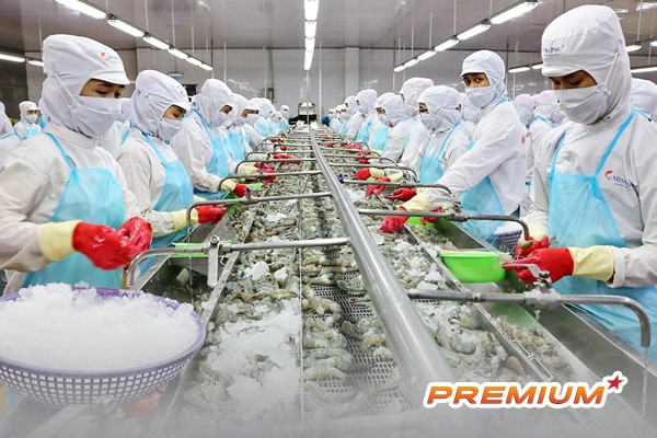 Xuất khẩu thủy sản duy trì mốc trên 1 tỷ USD 3 tháng liên tiếp