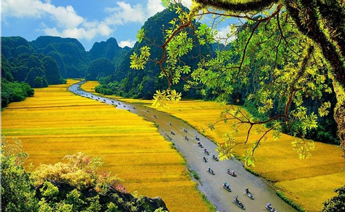 Five destinations in Vietnam for Global Wellness Day