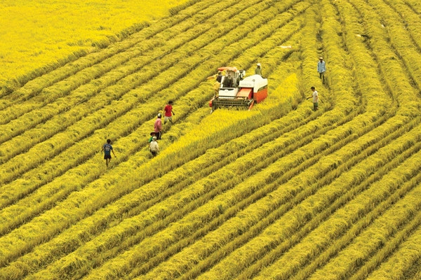 Bộ trưởng Lê Minh Hoan: Nông nghiệp Việt Nam vẫn còn mang 'ba lời nguyền'