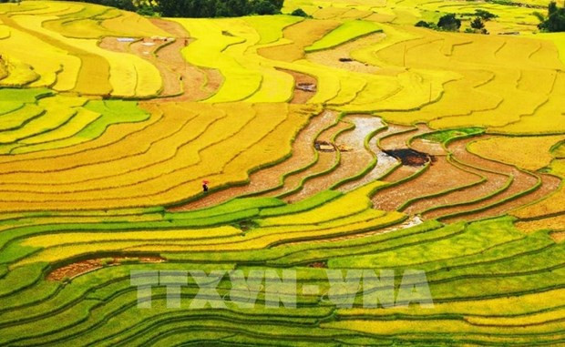Vietnam nominated in 10 categories at World Travel Awards 2022