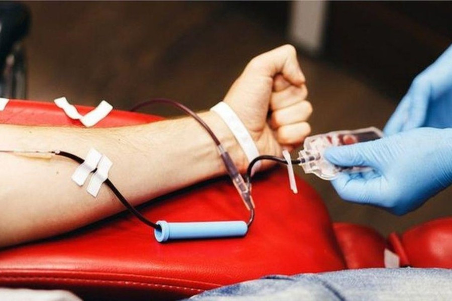 Vụ 'hút máu tình nguyện viên': Viện Tim ngưng nhận máu trực tiếp từ người nhà bệnh nhân