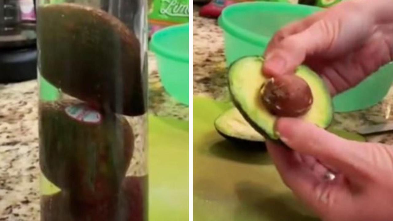 Lan truyền cách sai lầm trong bảo quản trái bơ – có thể là nguồn nuôi dưỡng vi khuẩn nguy hiểm - Ảnh 2.