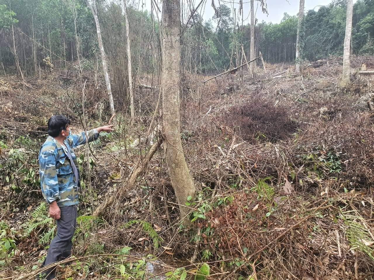 Khởi tố nguyên bí thư, chủ tịch xã hủy hoại tài sản của dân