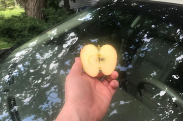 Chà xát nửa quả táo lên kính ô tô, điều kỳ diệu xảy ra