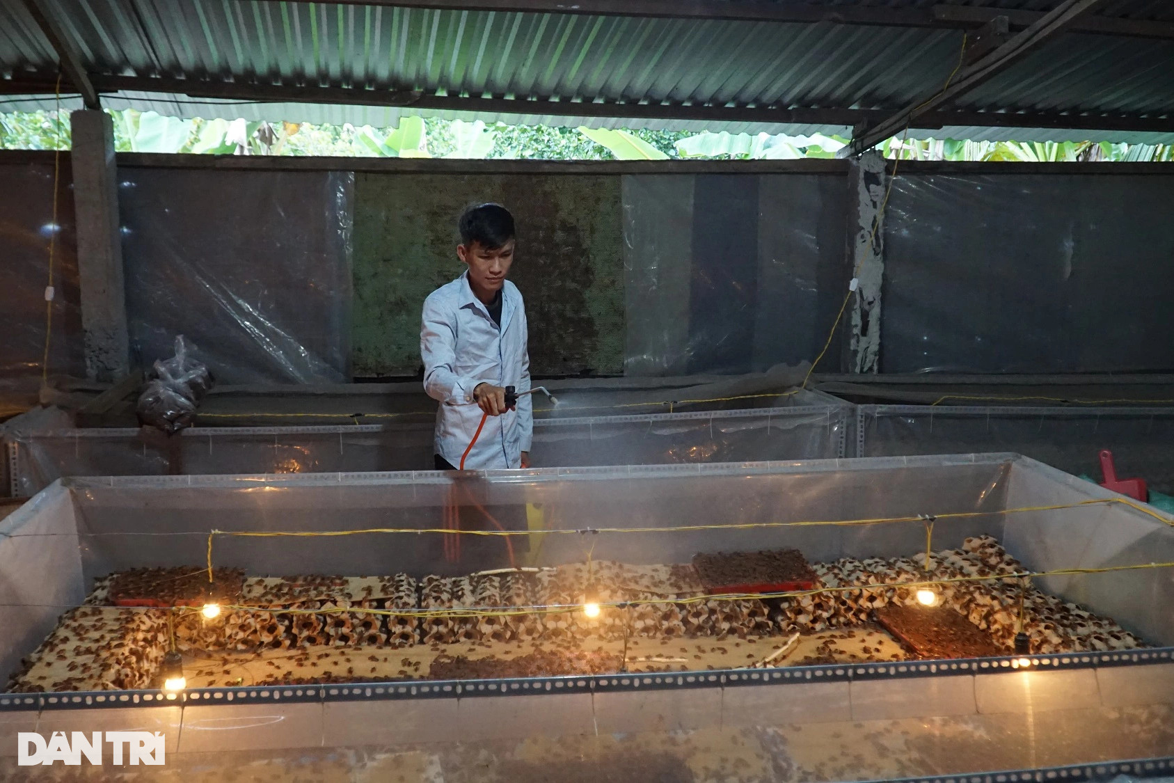 Dược sĩ bỏ nghề về quê, phất lên với nghề chỉ tốn một giờ mỗi ngày - 2