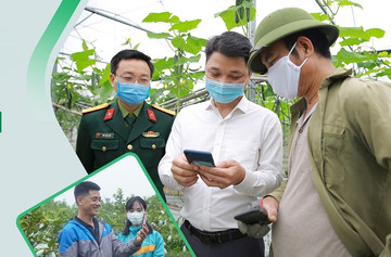 Vietnamese agricultural products go online