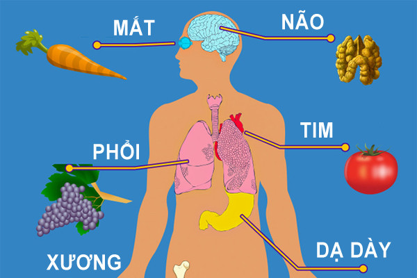 Các loại rau quả bổ cho từng bộ phận trên cơ thể