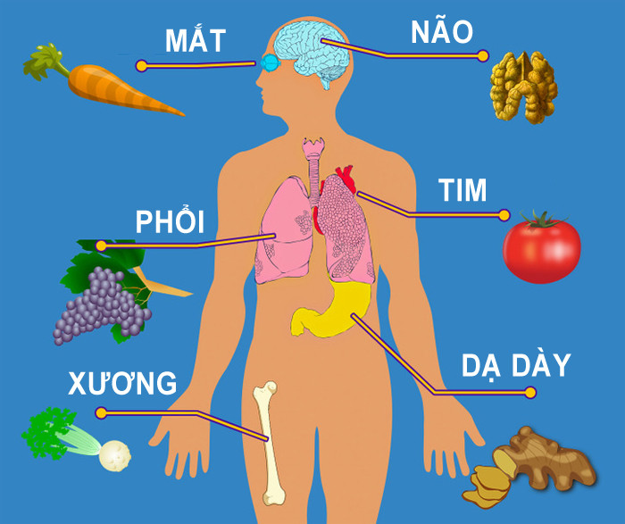 Những thực phẩm tốt cho sức khỏe và bổ cho từng bộ phận trên cơ thể