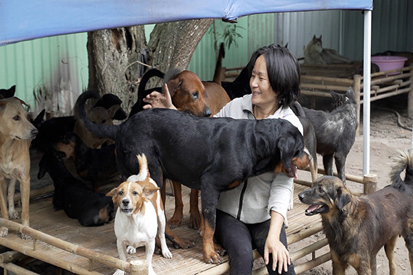 Người phụ nữ bán hủ tiếu thuê 2000 m2 đất, cứu cả nghìn chó, mèo từ lò mổ