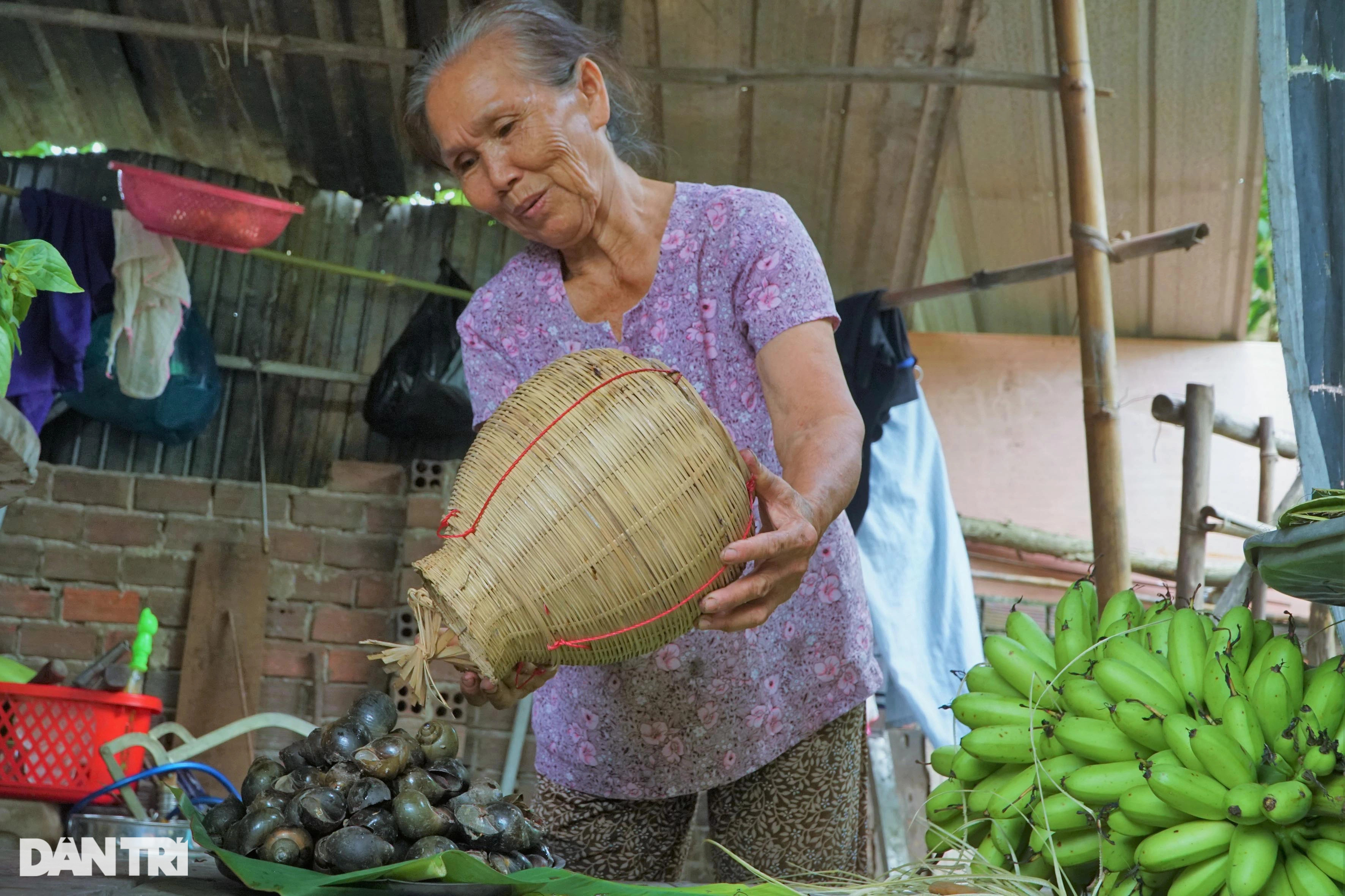 Độc nhất miền Tây: Ốc hít khói bếp 2 tháng, vỗ béo bằng trứng sữa - 6