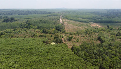 Ministry quashes plans to build road through biosphere reserve