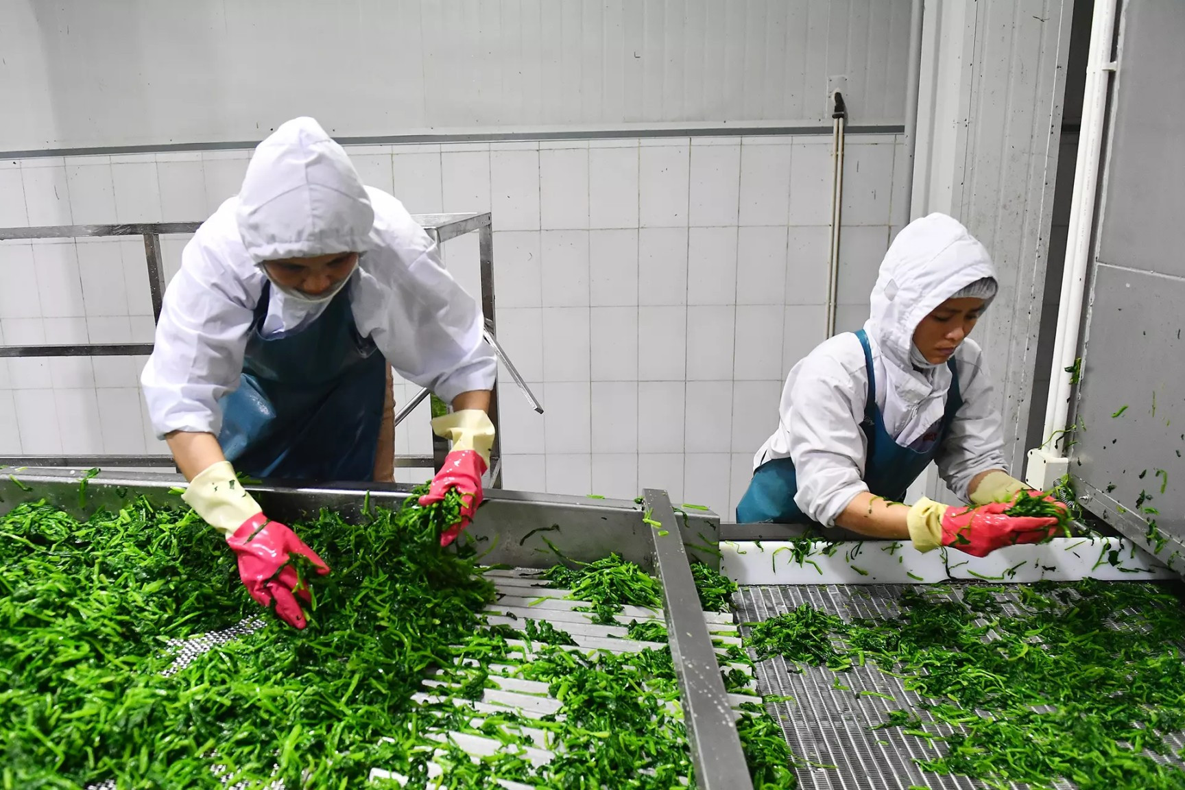 Businesses urged to produce more processed fruit