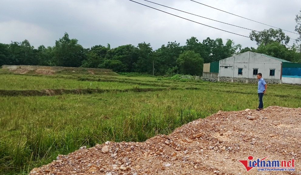 Chính quyền 'bán chui' đất ruộng, 10 năm sau dân mới 'ngã ngửa'