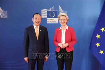 EU always places importance on Vietnam's role and position