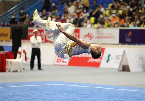 Wushu champ kicks-off new career