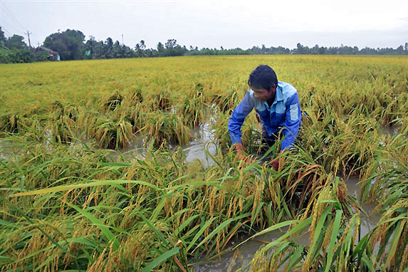 Southern provinces told to brace for severe weather this year