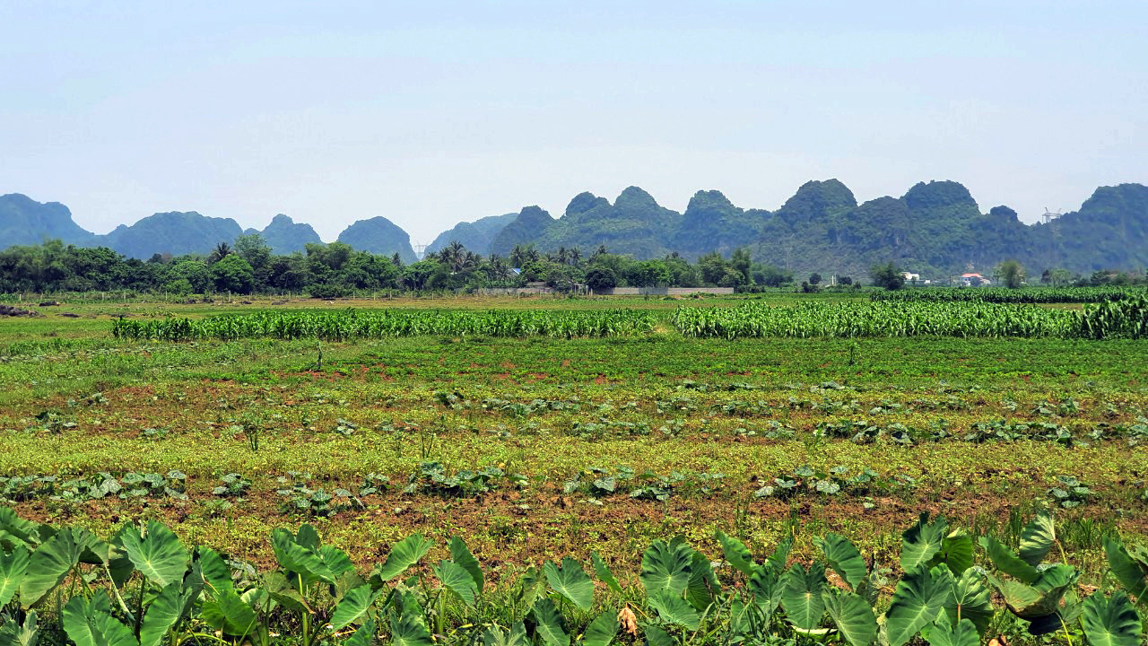 Phải làm rõ cơ chế thu hồi đất theo Nghị quyết 18