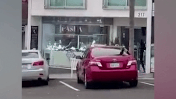 Băng cướp tấn công cửa hàng đồ trang sức trong hơn 10 giây