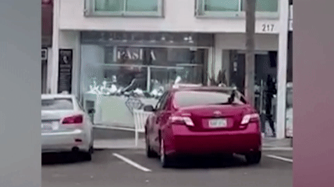 Băng cướp ồ ạt tấn công một cửa hàng trong 12 giây