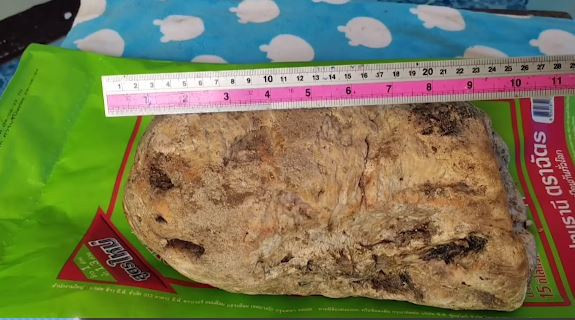 Đi dạo ở bãi biển, người đàn ông nhặt được