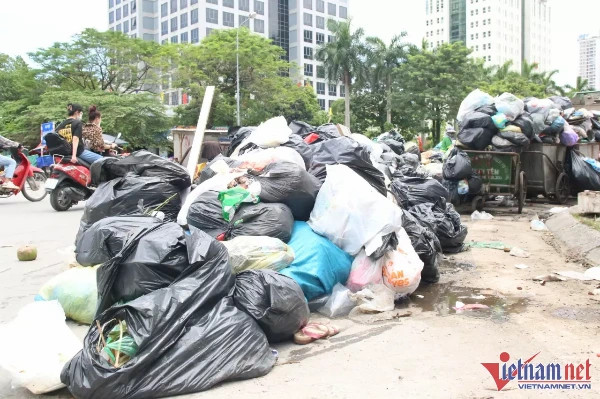 Dân chung cư bày cách phân loại rác thải tại nguồn