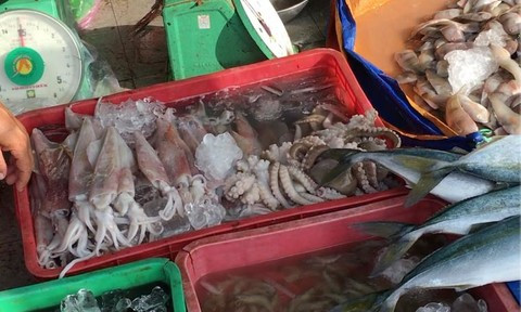 Sợ hãi với thực phẩm bẩn 