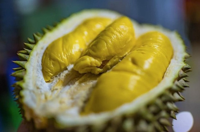 Thái Lan ra mắt loại sầu riêng ‘không bốc mùi’ ảnh 1