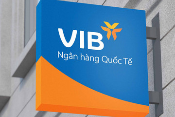 6 tháng đầu năm, VIB đạt lợi nhuận hơn 5.000 tỷ đồng