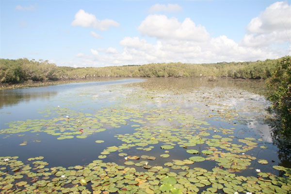 Ba Ria-Vung Tau Province to develop eco-tourism