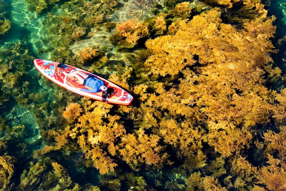 Đến Quy Nhơn, nằm thuyền dạo chơi 'khu rừng dưới nước' đẹp mê mẩn