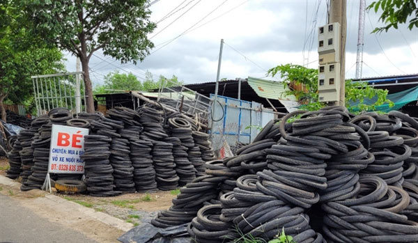 Old rubber tyres for oyster farming pose health and environmental risks