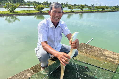 Bị vợ phản đối vẫn quyết làm: Cả tỉnh chưa ai dám thử, liều chơi lớn thu lãi tiền tỷ