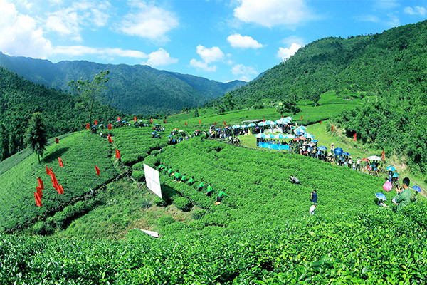 Trải nghiệm thông minh, sản phẩm du lịch đặc thù xứ trà Thái Nguyên hút khách