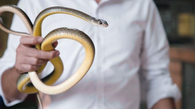 Từng lên sóng CNN, Reuters, làng nghề tại Hà Nội có gì mà nhiều du khách phải e sợ? - Ảnh 1.