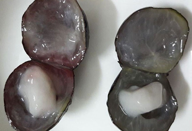 Nga ngua su that ve loai nho quy toc “gia tren troi” van “chay hang“-Hinh-12