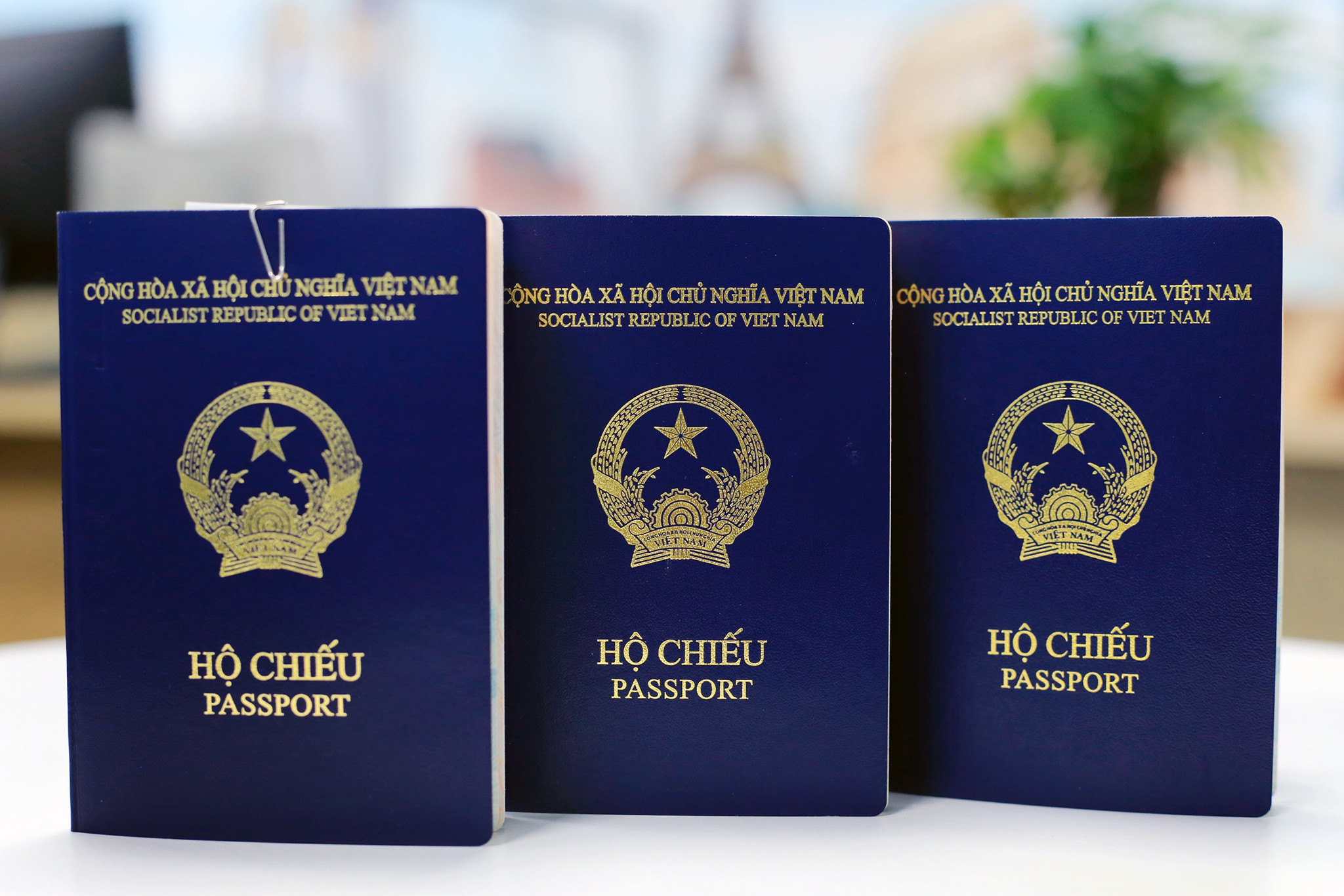 Đức ngừng cấp thị thực vào hộ chiếu phổ thông Việt Nam mẫu mới