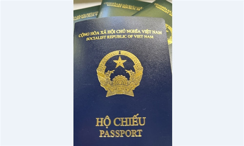 Vietnamese authorities working with German counterparts on temporary visa suspension