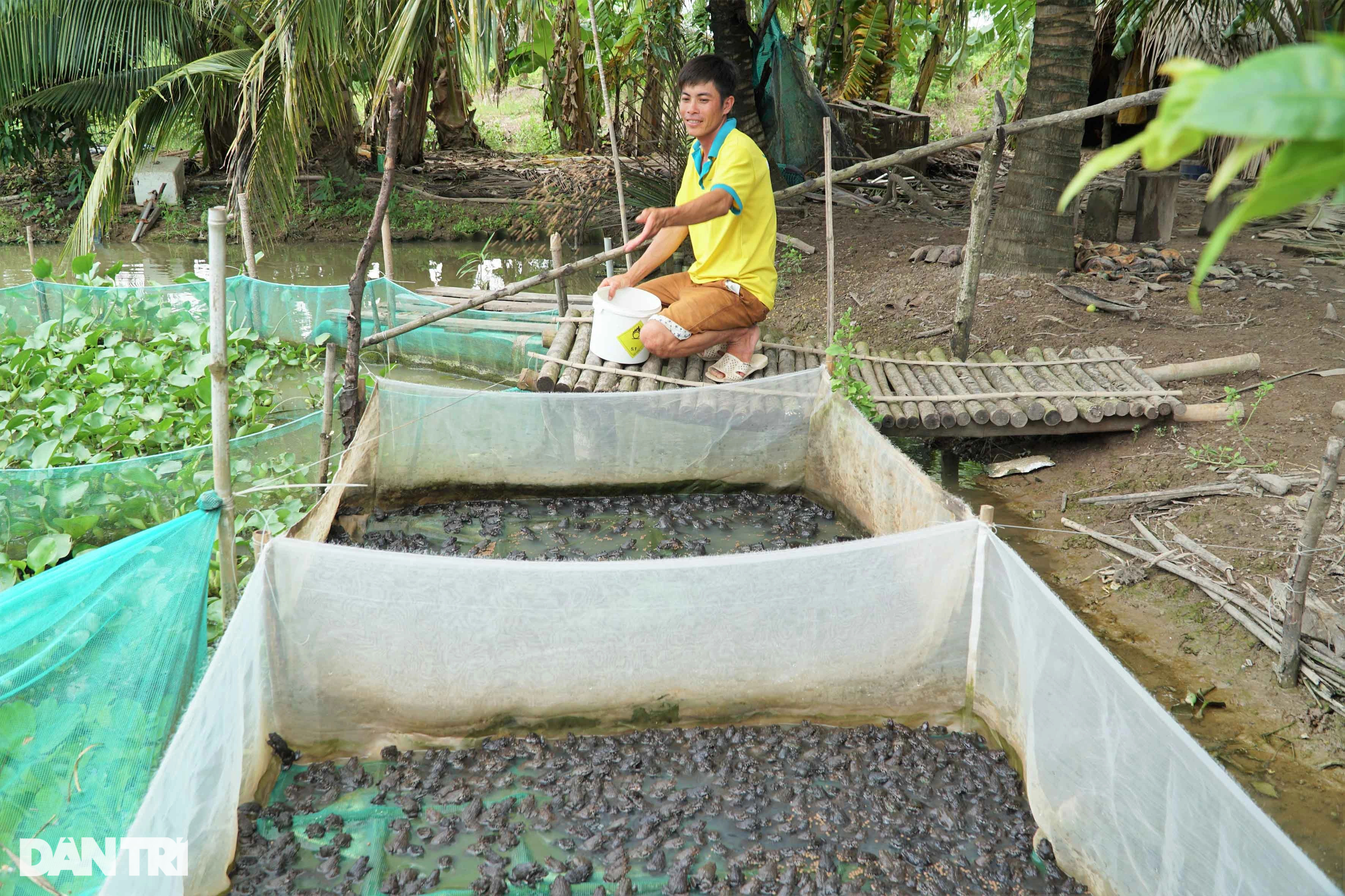 Nuôi loài cá xấu xí, lạ nhất hành tinh, leo cây thoăn thoắt làm... thú cưng - 8