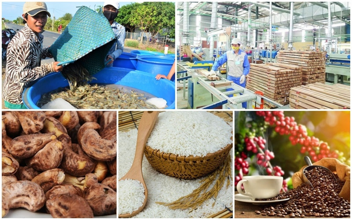 vietnam poised to join top 10 global farm produce processors picture 1