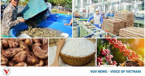 Vietnam poised to join top 10 global farm produce processors