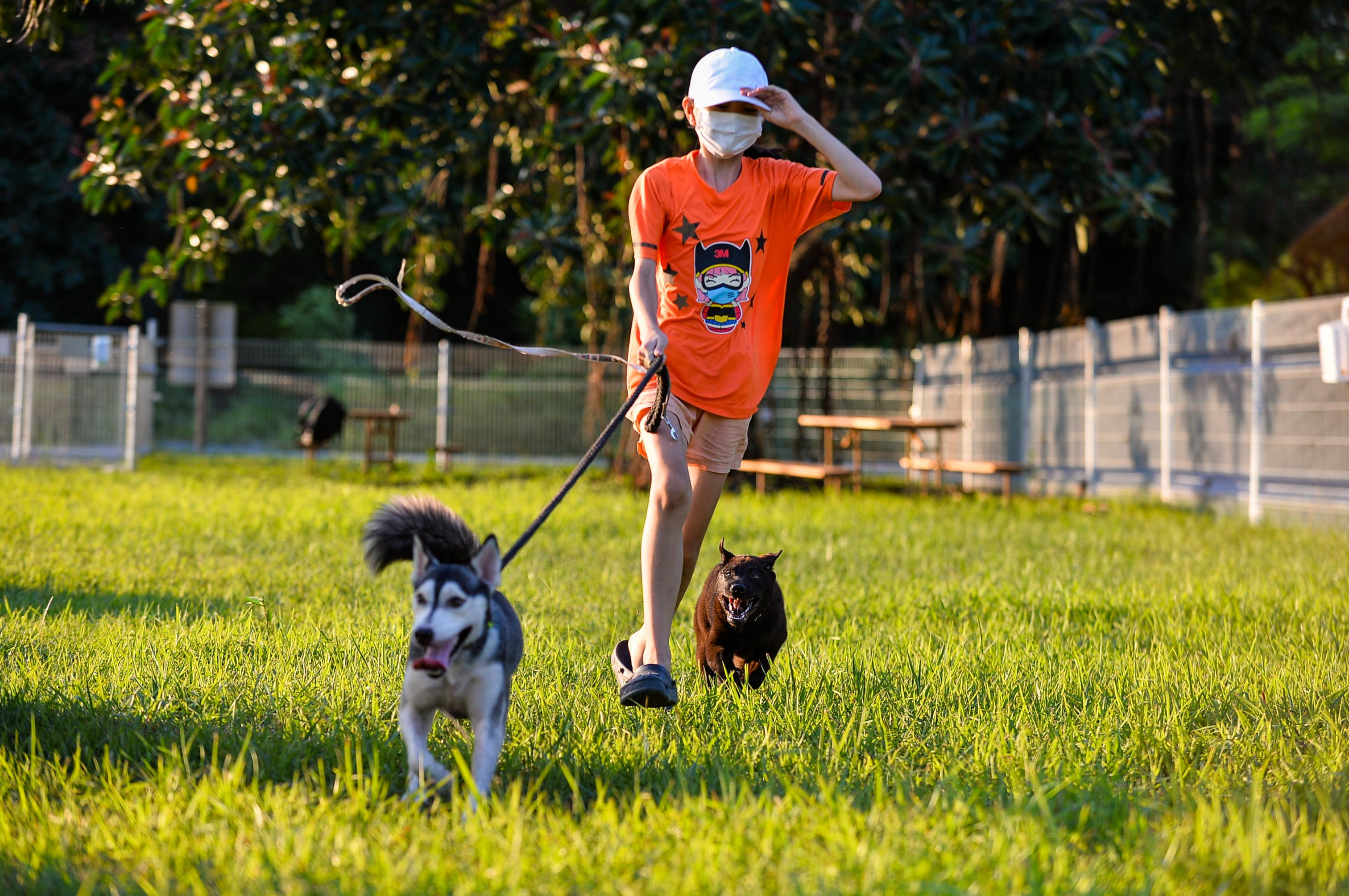 Bãi cỏ cũng được cắt ngắn để phù hợp cho chó chạy, nhảy. Đến công viên, người dắt chó theo cần phải tuân thủ một số quy định bắt buộc như luôn đi cạnh thú nuôi; trông chừng, tập trung vào thú nuôi; giữ chặt thú nuôi và rời khỏi khu vực ngay khi thú nuôi trở nên hung dữ.