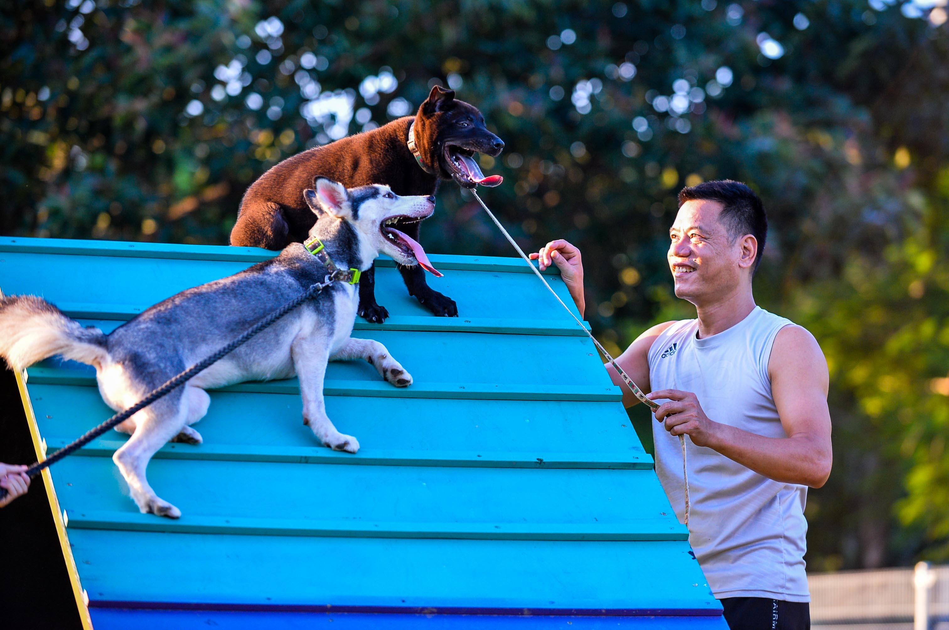 Nhà gần công viên, anh Vũ Trường Đông (45 tuổi) mới biết bên trong có khu vực dành riêng cho chó và đã dắt theo hai chú chó là Mật và Mun đến vui chơi. 