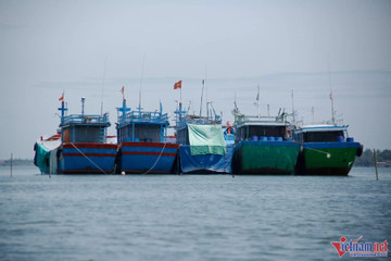Fishing boats left unused, fishermen suffer big losses