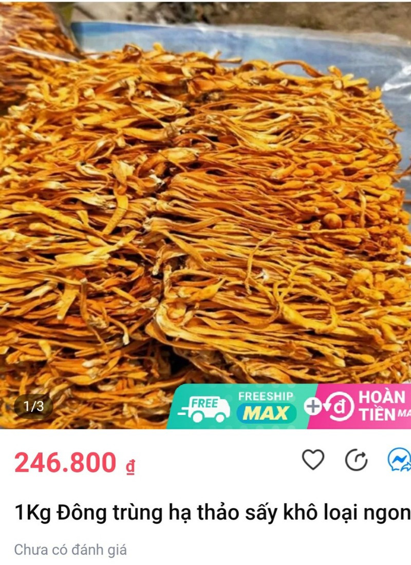 Thuc hu dong trung ha thao online gia re