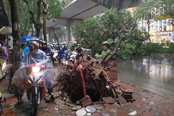 Dự báo thời tiết 1/8: Cả nước mưa giông, nguy cơ gió giật mạnh