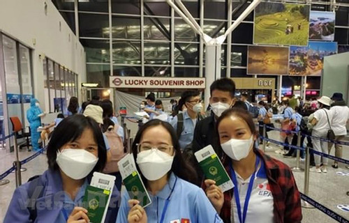 Nearly 57,000 Vietnamese work abroad in first 7 months