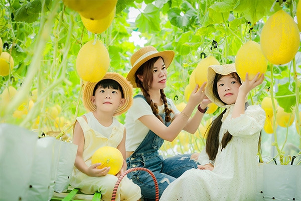 Nữ giám đốc biến sân thượng 250m2 thành điểm check-in đẹp rực rỡ